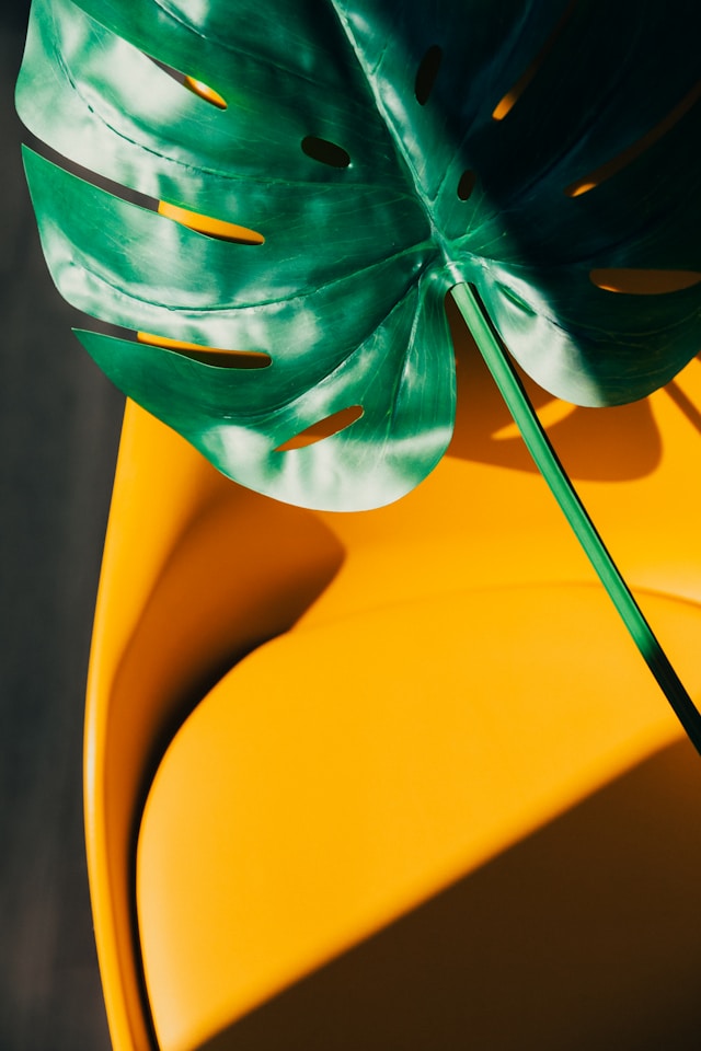 kobu-agency-zGOD41xSmaE-unsplash